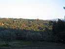 Toscana 07_018.JPG